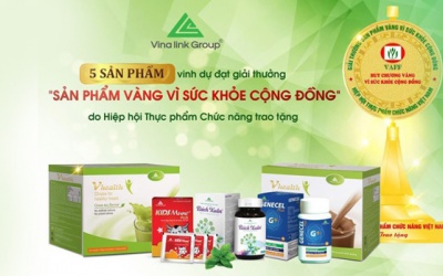 Vinalink Group quản lý hoạt động kinh doanh theo mạng