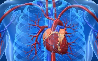 Bệnh hở van tim hai lá có nguy hiểm không?