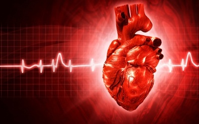 Mọi điều bạn cần biết về bệnh thiếu máu cơ tim