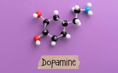 Mối liên hệ giữa dopamine và bệnh Parkinson