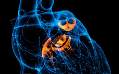 Chuyên gia tư vấn: Bệnh van tim là gì và có bao nhiêu dạng?