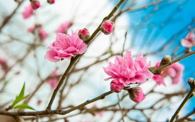 Tháng Giêng “ăn chơi” có trách nhiệm