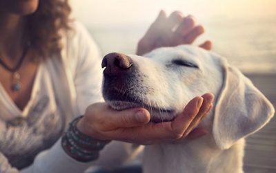 Tử vi thứ Ba (22/2/2022): Xử Nữ nên tôn trọng người thân nhiều hơn nữa