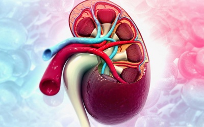 Những lưu ý để điều trị biến chứng thận do đái tháo đường hiệu quả