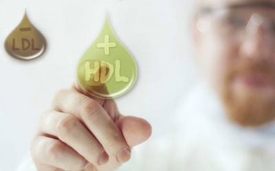 Làm thế nào để tăng chỉ số “cholesterol tốt” HDL?