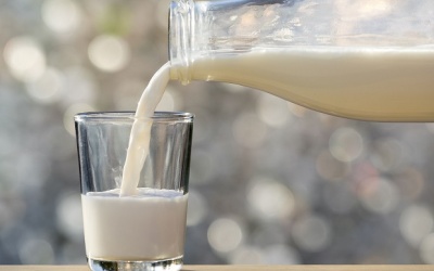 Nghiên cứu mới: Protein trong sữa bò có thể ngăn ngừa COVID-19 hiệu quả