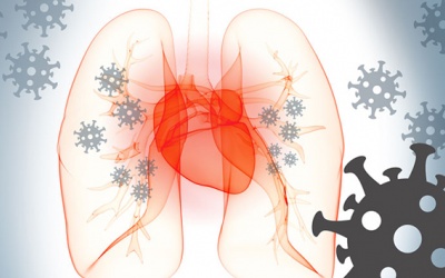 Người bệnh tim mạch nên làm gì để bảo vệ sức khỏe trong mùa dịch?