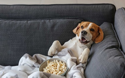 Tử vi thứ Bảy (26/3/2022): Song Ngư muốn được nghỉ ngơi một mình