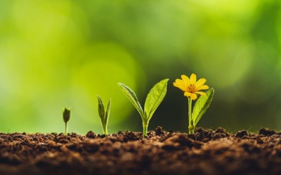 Tử vi Chủ nhật (27/3/2022): Bạch Dương sẽ có cơ hội để phát triển bản thân