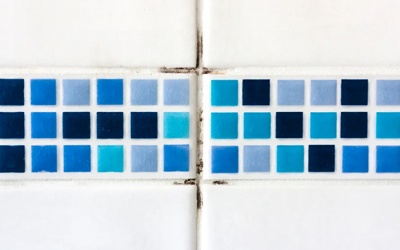 Cách loại bỏ nấm mốc trong nhà tắm