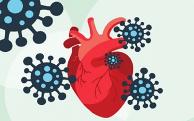 4 di chứng tim mạch hậu COVID-19 và cách khắc phục hiệu quả