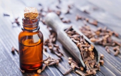 Bí quyết sử dụng dầu đinh hương trị mụn hiệu quả