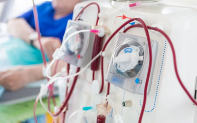 Bị suy thận độ 3 có chữa được không? 