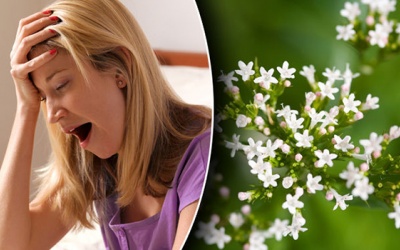 TPBVSK Goldream: Sản phẩm hay cho người mất ngủ, khó ngủ, rối loạn giấc ngủ