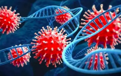 Biến thể XE lan tới nhiều quốc gia và hy vọng về vaccine COVID-19 dạng xịt