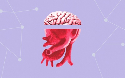 Tim đập nhanh, khám không ra bệnh liệu có phải do tôi tưởng tượng ra?