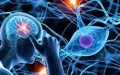 Cải thiện rối loạn thần kinh thực vật nhờ giải pháp thảo dược