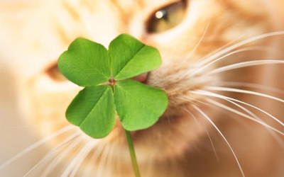 Tử vi thứ Ba (19/4/2022): Song Ngư sẽ có ngày mới nhiều may mắn