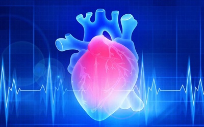 Hở van 2 lá và van động mạch phổi nhẹ có cần dùng thuốc không?