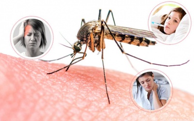 Lưu ý khi điều trị sốt xuất huyết tại nhà