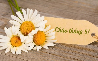 Tử vi tháng 5/2022: Bảo Bình sẽ có tháng mới với nhiều thay đổi