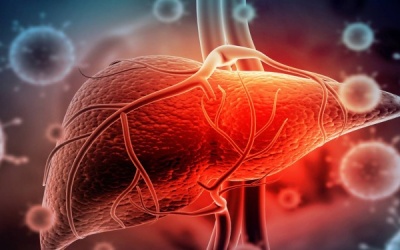 Bệnh viêm gan do virus bí ẩn xuất hiện ở Đông Nam Á, 3 trẻ tử vong