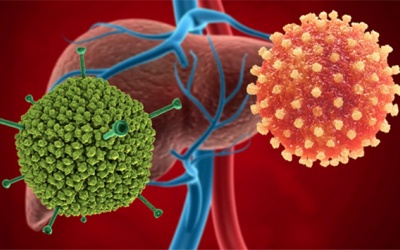  Adenovirus là 'thủ phạm' gây bệnh viêm gan bí ẩn ở trẻ em?