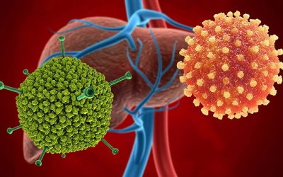 Bộ Y tế: Tăng cường giám sát bệnh viêm gan cấp tính 'bí ẩn'