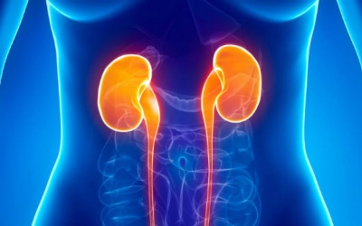 Những dấu hiệu cho biết thận của bạn bị tổn thương nghiêm trọng