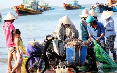 Sáng sớm đi chợ cá, trải nghiệm thú vị khi đến Đà Nẵng