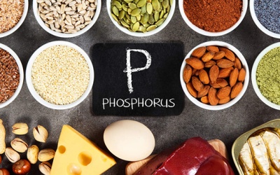 Thực phẩm giàu phospho nên có trong chế độ ăn hàng ngày