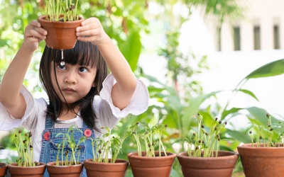 Tử vi thứ Ba (7/6/2022): Song Ngư nên cố gắng học hỏi nhiều kinh nghiệm sống