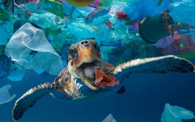 Giảm thiểu rác thải nhựa đại dương: Liệu chúng ta có làm được?