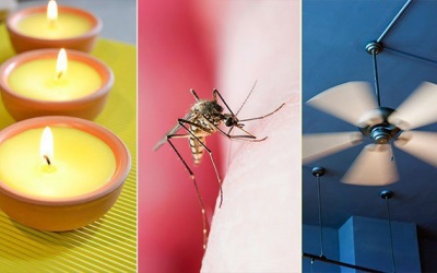 7 cách đơn giản để đuổi muỗi, phòng ngừa sốt xuất huyết