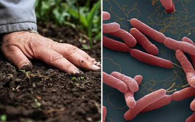 Cảnh giác với 'vi khuẩn ăn thịt người' 