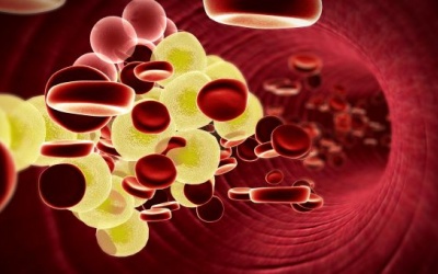 Mỡ máu cao: Nguyên nhân, triệu chứng và cách điều trị