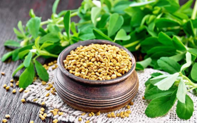 Những lợi ích không ngờ của cỏ cà ri