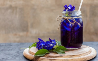 Lưu ý khi giải khát với trà hoa đậu biếc