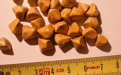 Sỏi túi mật 24mm trị thế nào, dùng TPBVSK Kim Đởm Khang được không?