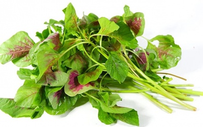 Người bệnh đái tháo đường có nên ăn rau dền?