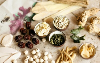 Thuốc Nam trị đái tháo đường: 5 dược liệu tiêu biểu