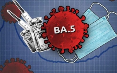 Sự nguy hiểm của biến thể phụ BA.5 vừa xuất hiện tại Việt Nam