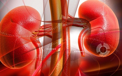 Nguyên nhân suy thận và cách phòng ngừa hiệu quả nhờ thảo dược