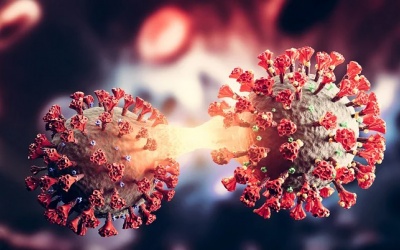 Vì sao dòng phụ BA.2.75 của Omicron đang khiến giới khoa học lo lắng?