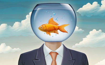 10 lý do khiến bạn hay quên