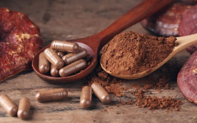 3 loại nấm dược liệu giúp tăng năng lượng, tăng cường miễn dịch