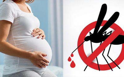 Lưu ý quan trọng với thai phụ mắc sốt xuất huyết