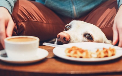 Tử vi thứ Sáu (15/7/2022): Kim Ngưu sẽ gặp phải nhiều cám dỗ