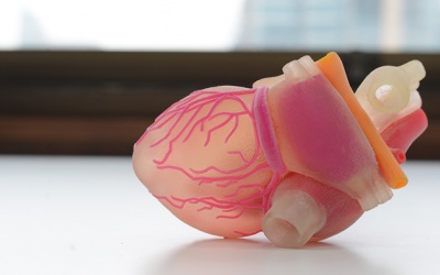 Bị bệnh tim to có nguy hiểm không, điều trị thế nào tốt nhất?