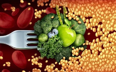 15 thực phẩm chống xơ vữa mạch máu giúp phòng ngừa bệnh tim mạch